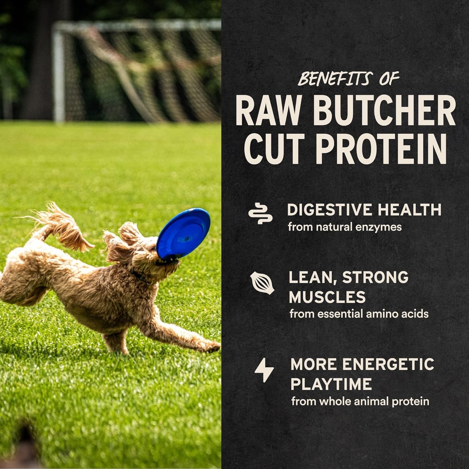 Freeze Dried Dog Treats | Beef Liver, Single Ingredient | Premium Quality | Grain Free Training Treats for Dogs, 2.1 Oz Bag