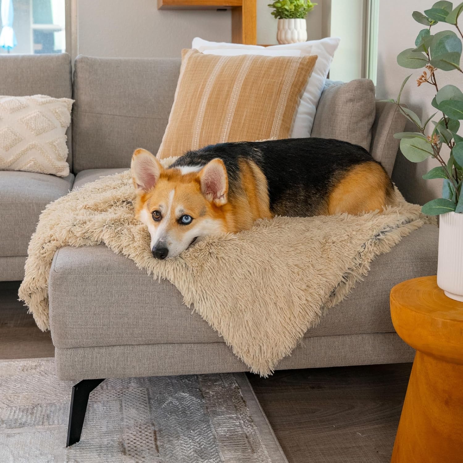 Calming Shag Dog Blanket – Ultra Soft Faux Fur Pet Throw, Anxiety-Relief, Lightweight Warm Bed Cover for Dogs and Cats, Machine Washable, Taupe, 30" X 40"