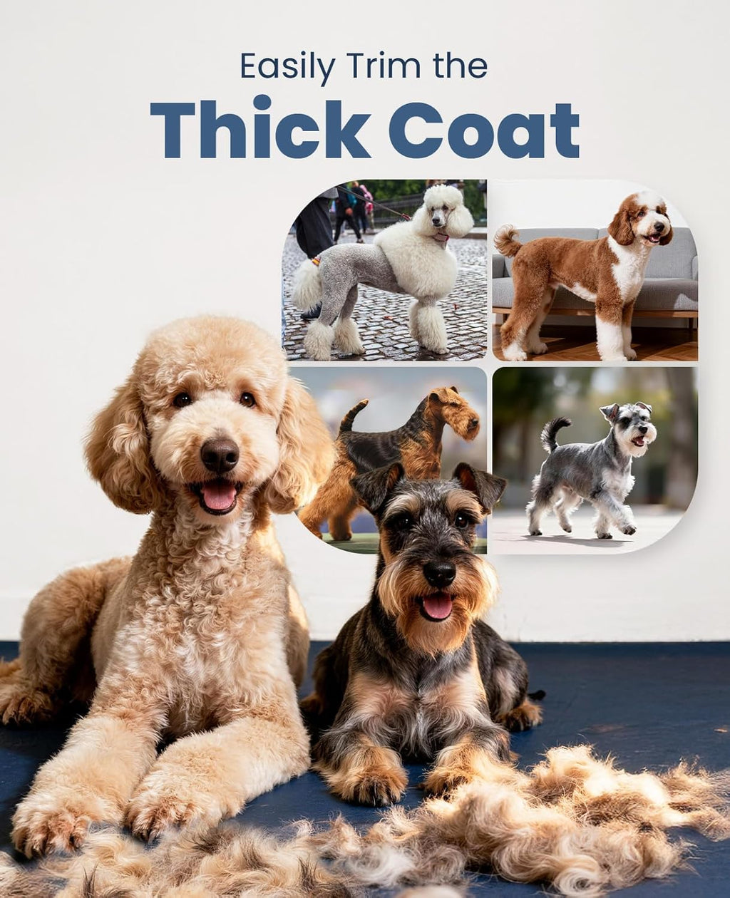 Dog Clippers for Grooming for Thick Heavy Coats/Low Noise Rechargeable Cordless Pet Shaver with Detachable Stainless Steel Blade/Waterproof Dog Shaver for Dogs Pets and Animals (Silver)