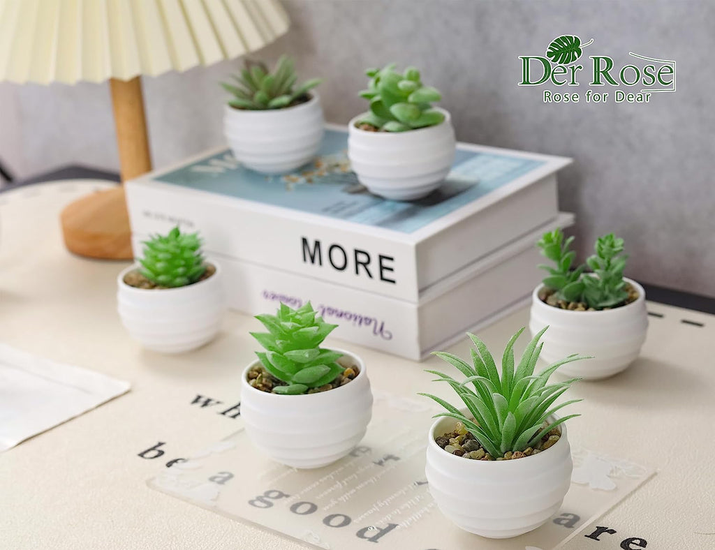 Set of 6 Succulents Plants Artificial in Pots Small Fake Plants Graduation Gifts for Bedroom Aesthetic Living Room Shelf Bathroom Decor Office Desk Accessories