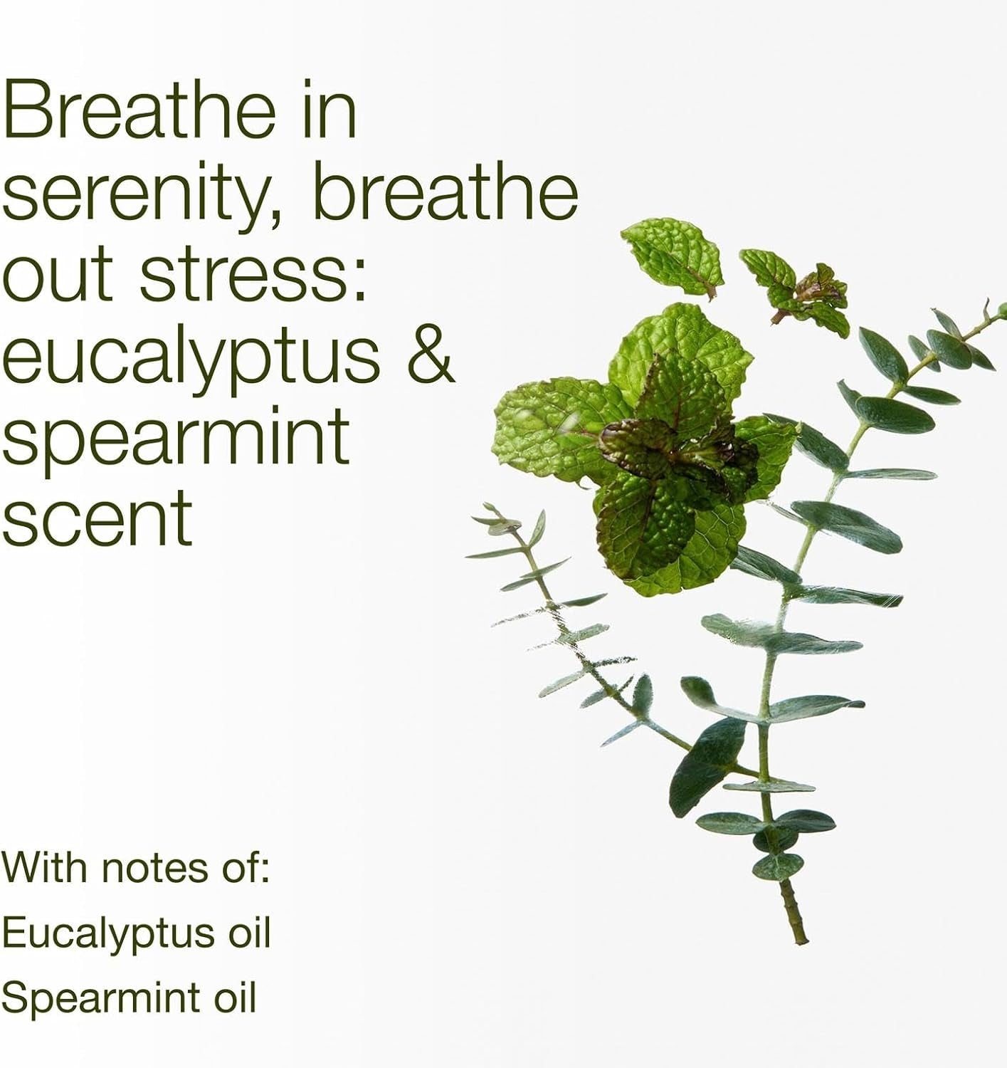 Eucalyptus Spearmint 3-Wick Candle - Scented Candle for At-Home Use - Long-Lasting, Room-Filling Fragrance - High Fragrance Oil Concentration - Soy Wax Blend
