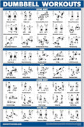 Dumbbell Workout Exercise Poster - Free Weight Body Building Guide | Home Gym Chart - LAMINATED, 18" X 24"