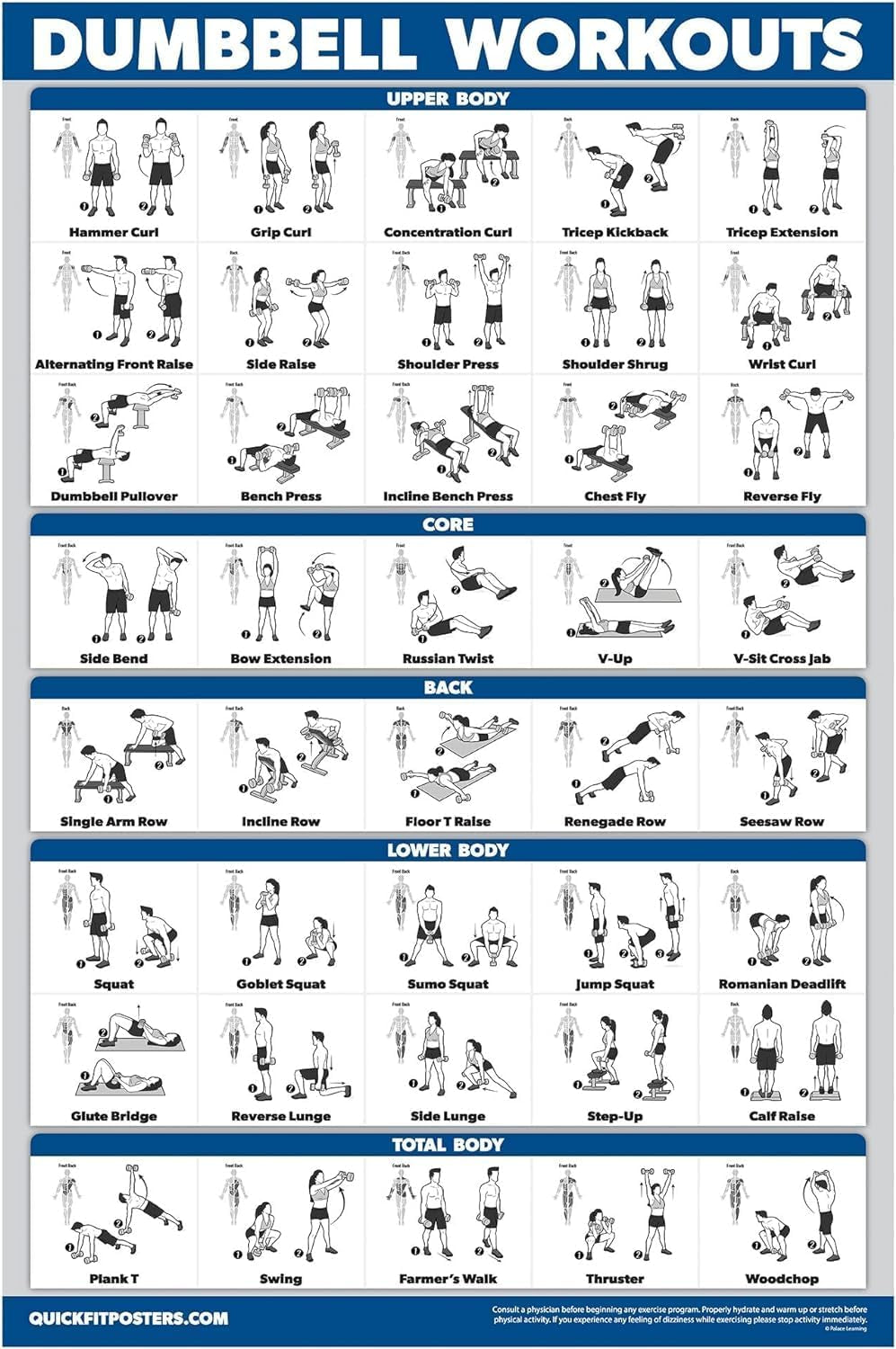 Dumbbell Workout Exercise Poster - Free Weight Body Building Guide | Home Gym Chart - LAMINATED, 18" X 24"