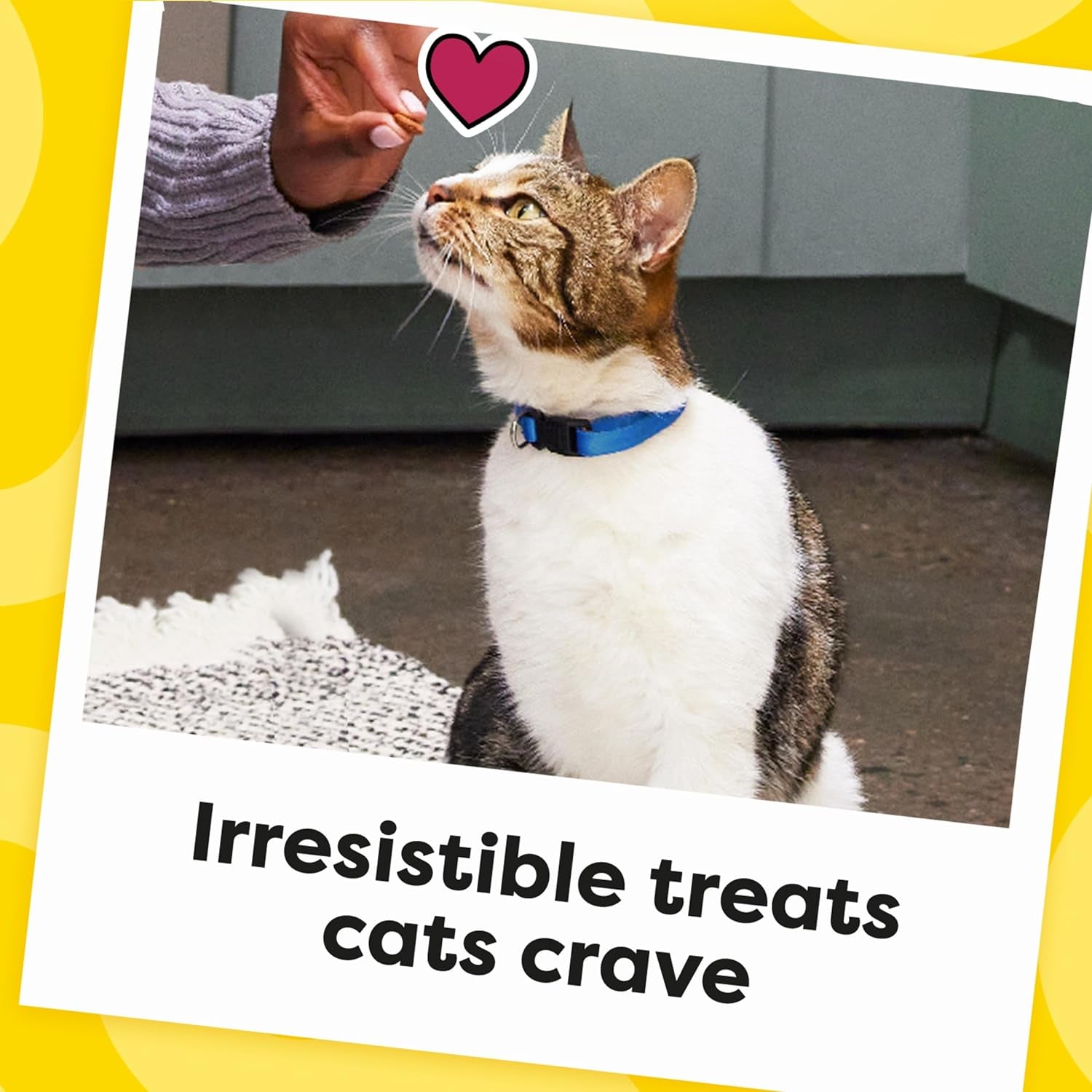 Cat Treats Classic Crunchy and Soft Cat Treats, Tasty Chicken Flavor, 30 Oz. Tub