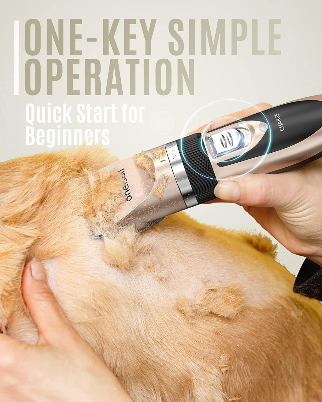 Dog Clippers Low Noise, Dog Grooming Kit with Rechargeable, Pet Shaver Cordless Electric Quiet Hair Clipper Set for Dogs Cats Pets（Gold）