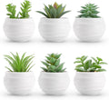 Set of 6 Succulents Plants Artificial in Pots Small Fake Plants Graduation Gifts for Bedroom Aesthetic Living Room Shelf Bathroom Decor Office Desk Accessories