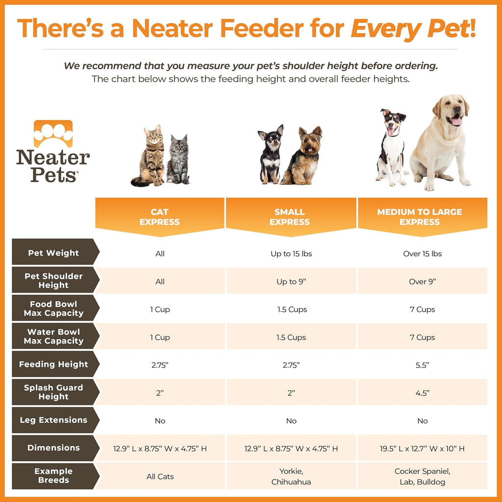 Express Mess Proof Dog Bowls Elevated for Small Breeds under 15 Lb, Made in USA, No Spill Raised Dog Food Bowl Stand, Stainless Steel Food and Water Bowl Set, Feeding Station, Grey