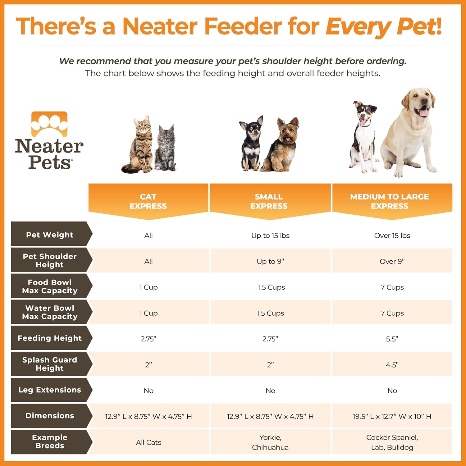 Express Mess Proof Dog Bowls Elevated for Small Breeds under 15 Lb, Made in USA, No Spill Raised Dog Food Bowl Stand, Stainless Steel Food and Water Bowl Set, Feeding Station, Grey