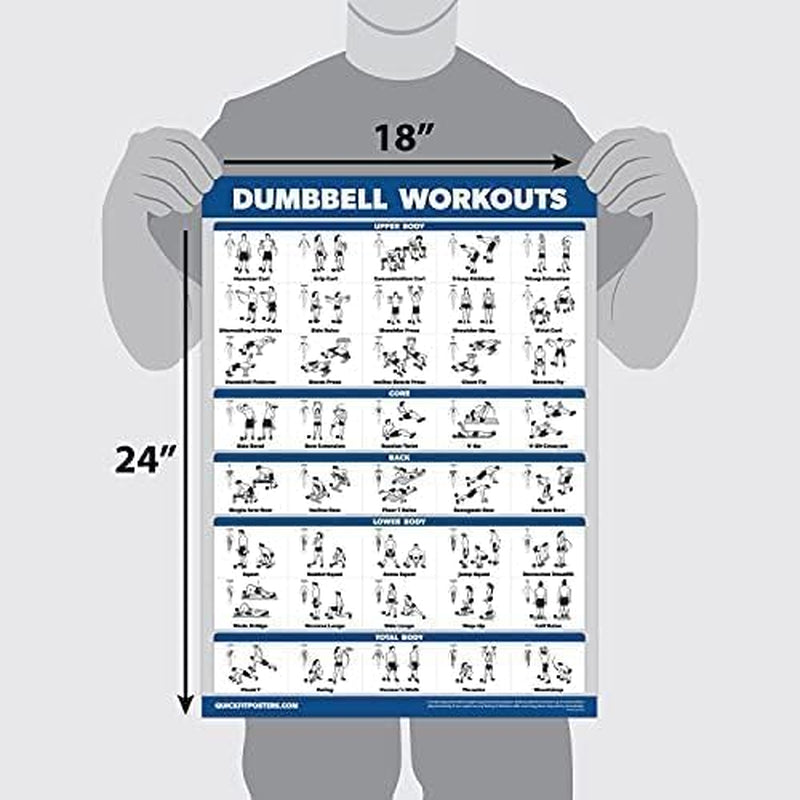 Dumbbell Workout Exercise Poster - Free Weight Body Building Guide | Home Gym Chart - LAMINATED, 18" X 24"