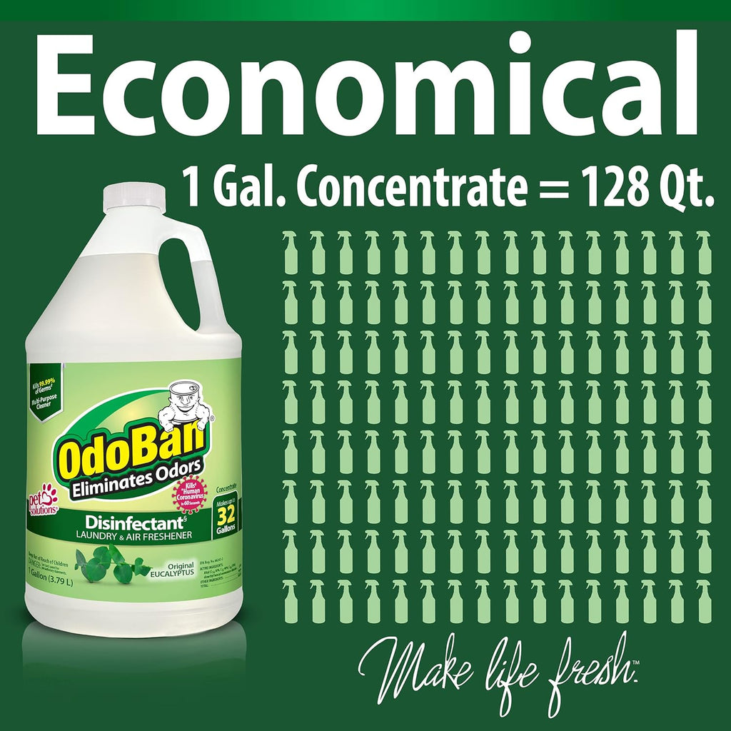 Disinfectant Concentrate and Odor Eliminator, Made in the USA, Original Eucalyptus Scent, 1 Gallon