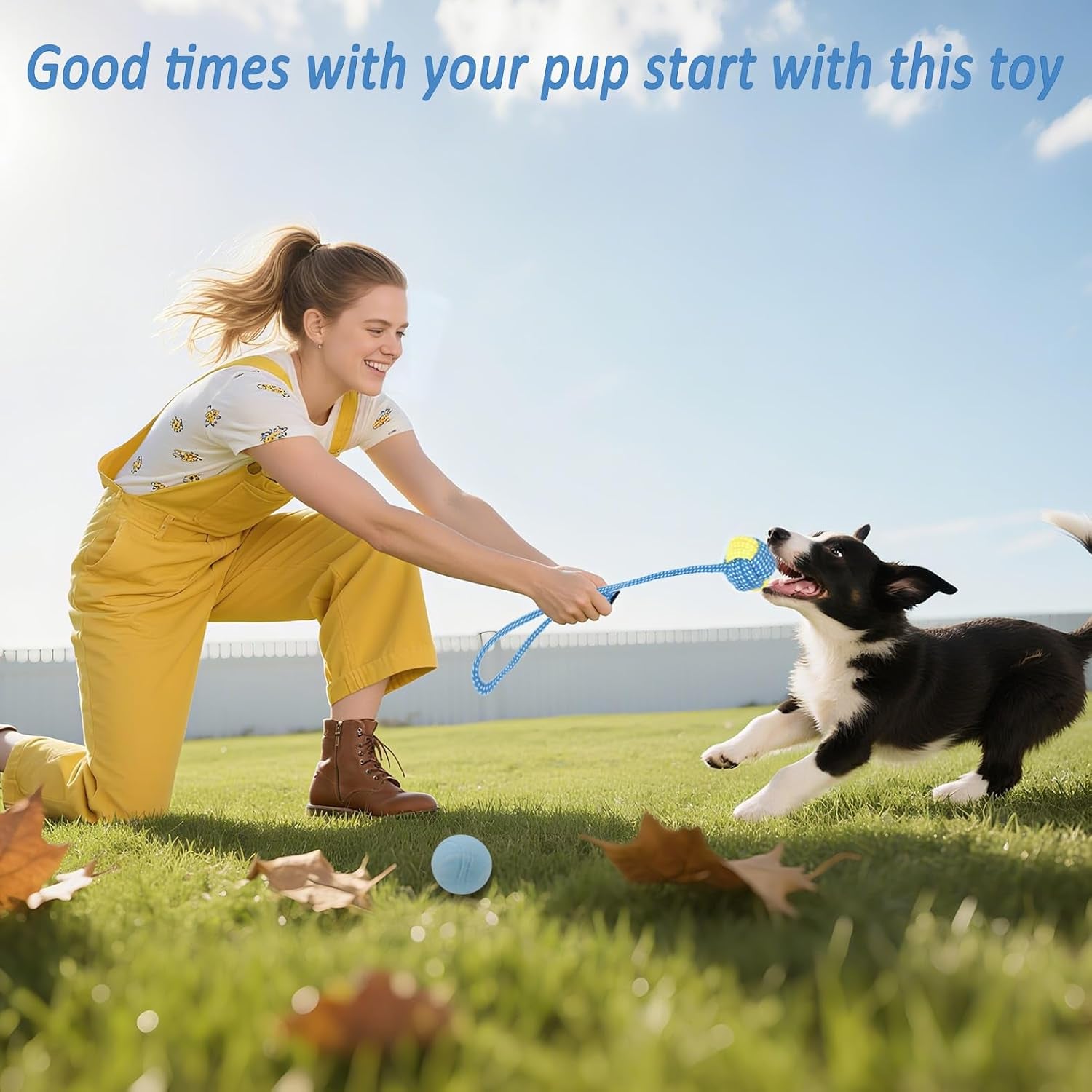 20 Pack Puppy Chew Toys - Blue Dog Teething Toys for Puppies, Puppy Teething Rings and Ropes, Rubber Toy Bundle for Small Dogs, Cute Interactive Dog Balls for Small Breed