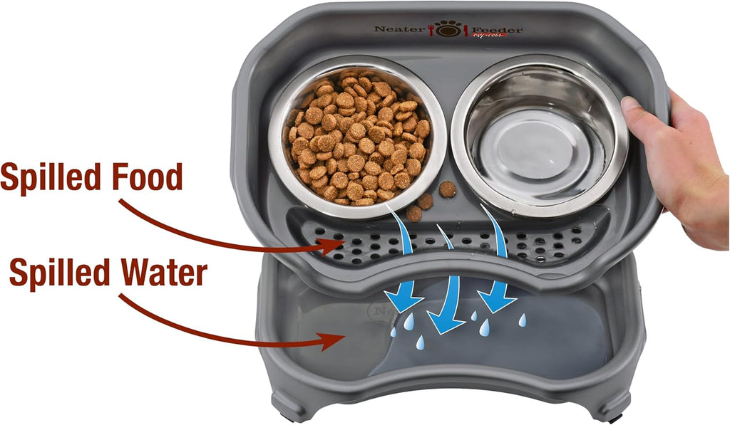 Express Mess Proof Dog Bowls Elevated for Small Breeds under 15 Lb, Made in USA, No Spill Raised Dog Food Bowl Stand, Stainless Steel Food and Water Bowl Set, Feeding Station, Grey