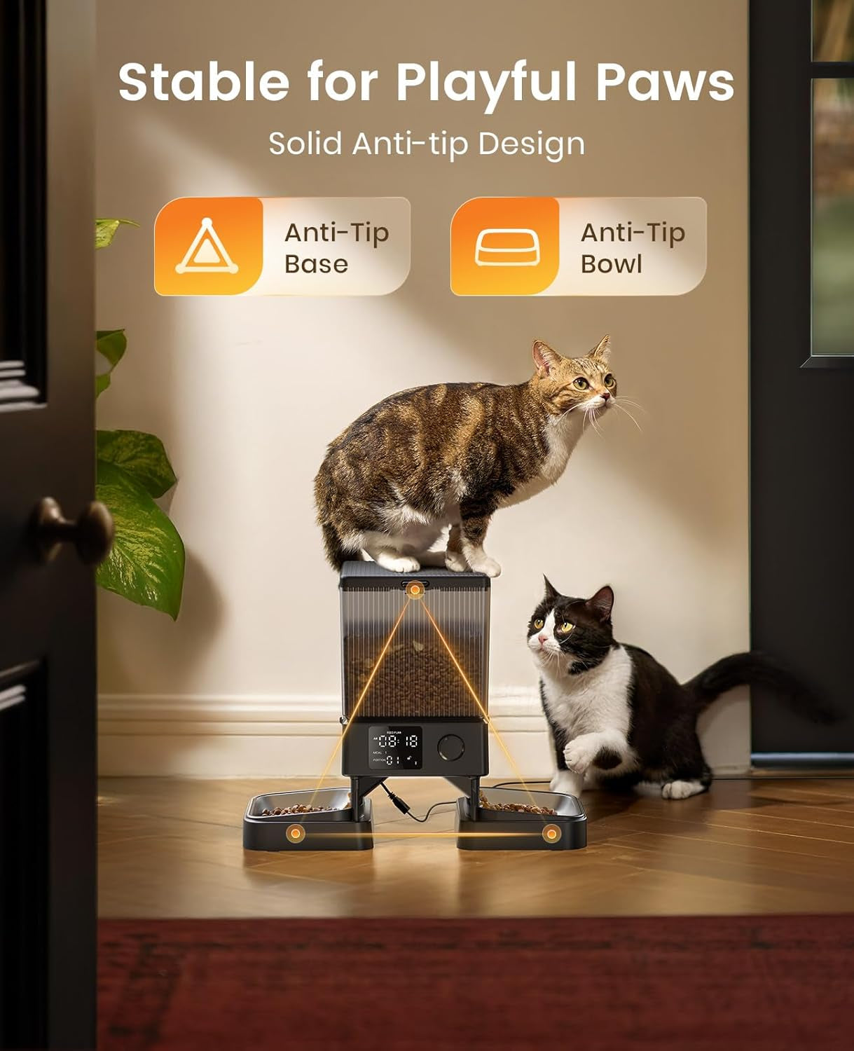 Automatic Cat Feeder for 2 Cats, 20 Cups/5L Automatic Cat Food Dispenser for Small Pets Indoor, Timed Cat Feeder for Dry Food