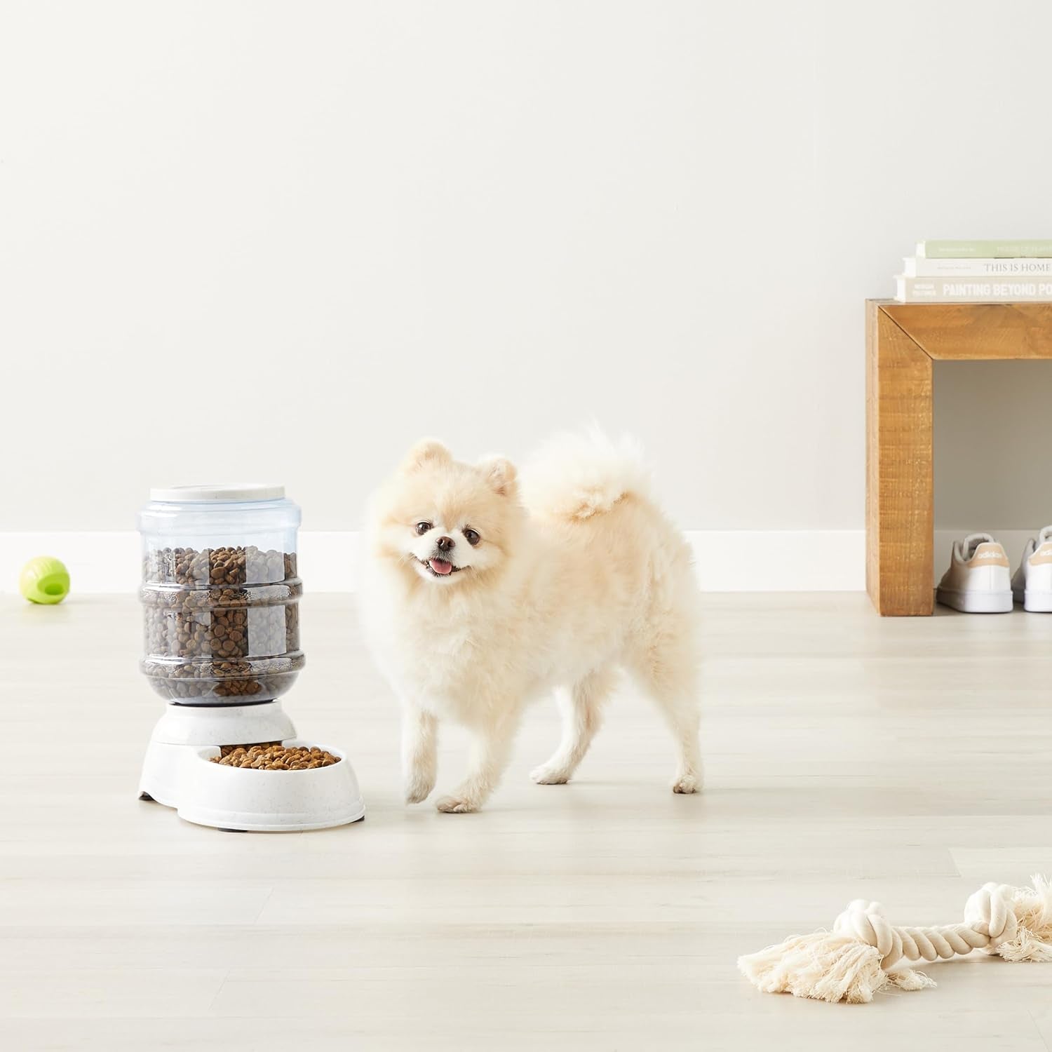 Gravity Pet Food Feeder for Dogs and Cats, Easy to Clean, Easy to Fill, Removable Lid, 6-Pound Capacity, Small, Gray