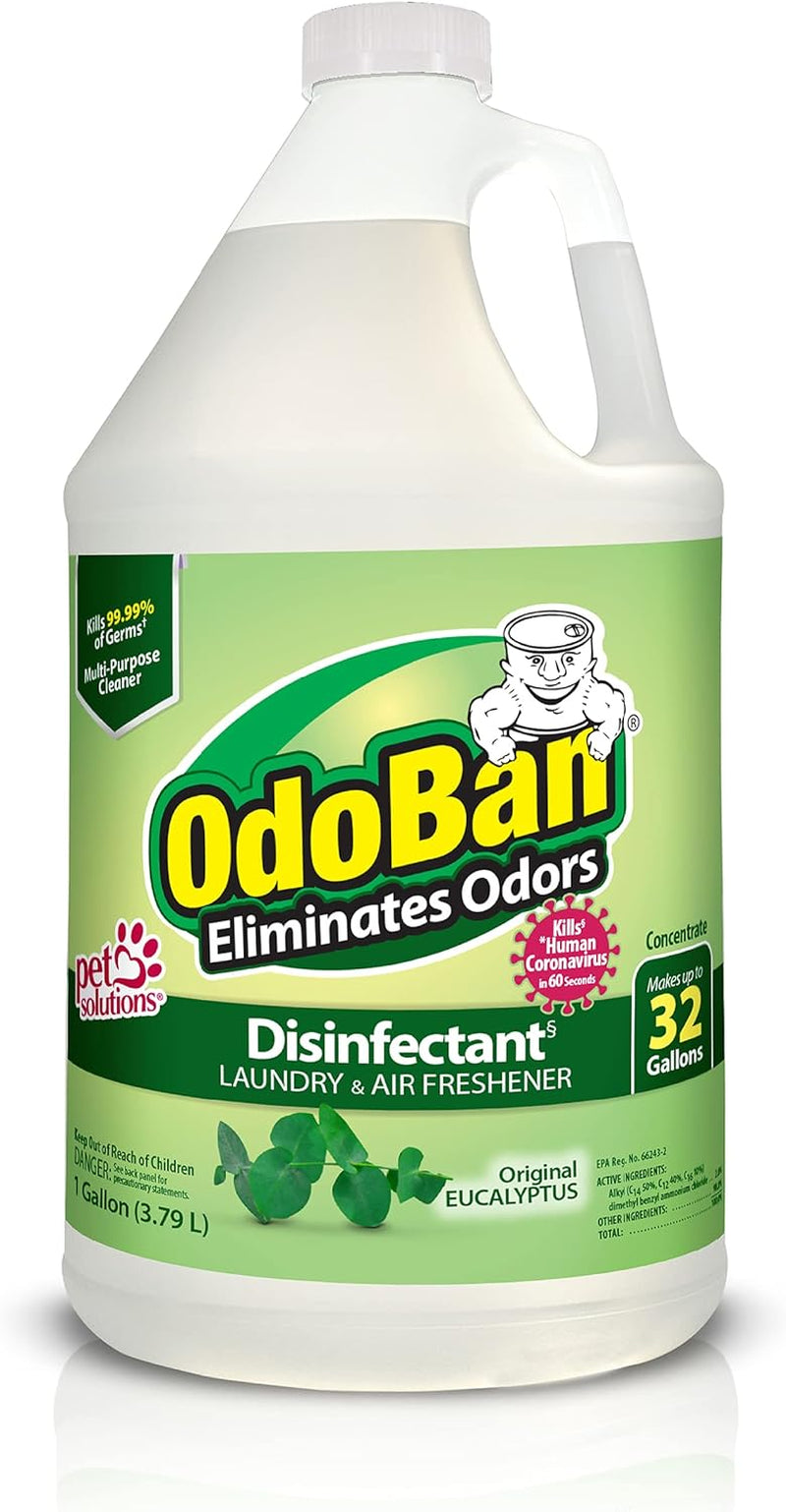 Disinfectant Concentrate and Odor Eliminator, Made in the USA, Original Eucalyptus Scent, 1 Gallon