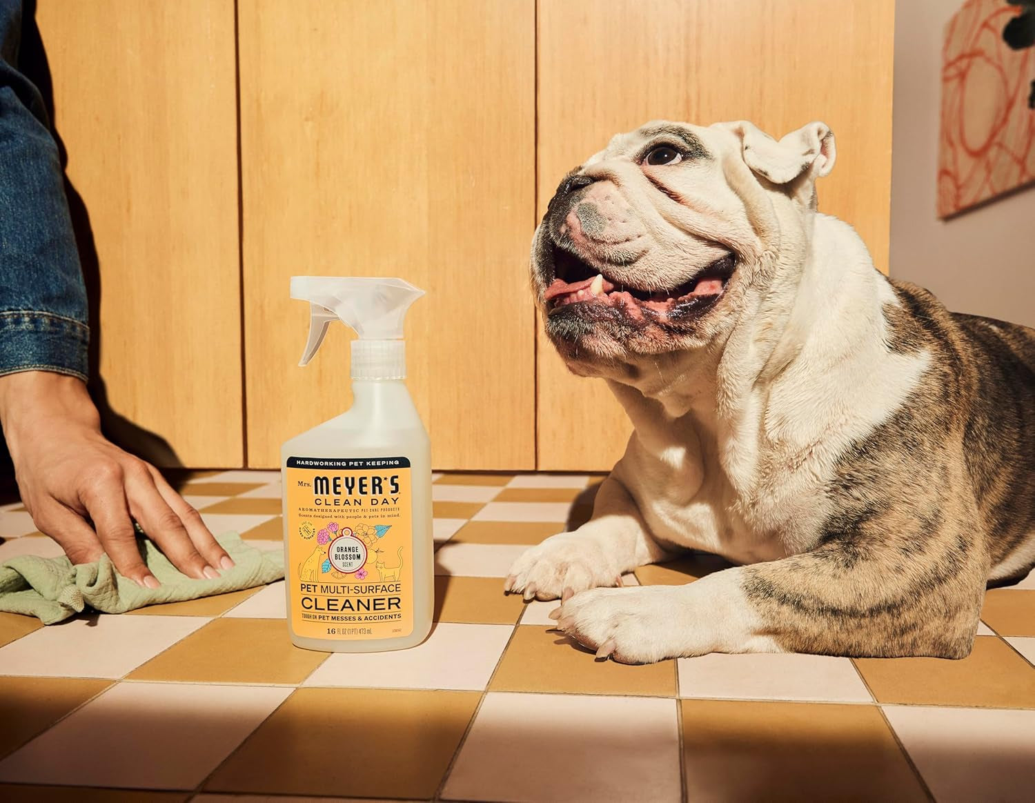 Mrs. MEYER'S CLEAN DAY Pet Multi-Surface Cleaner, Orange Blossom Scent, 16Oz