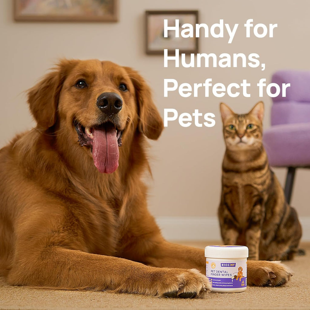 Teeth Cleaning Wipes for Dogs & Cats, Vet-Recommended Remove Bad Breath & Plaque & Tartar Buildup, Dog Tooth Brushing Kit, Dog Breath Freshener, Dogs Toothbrush & Toothpaste Alternatives