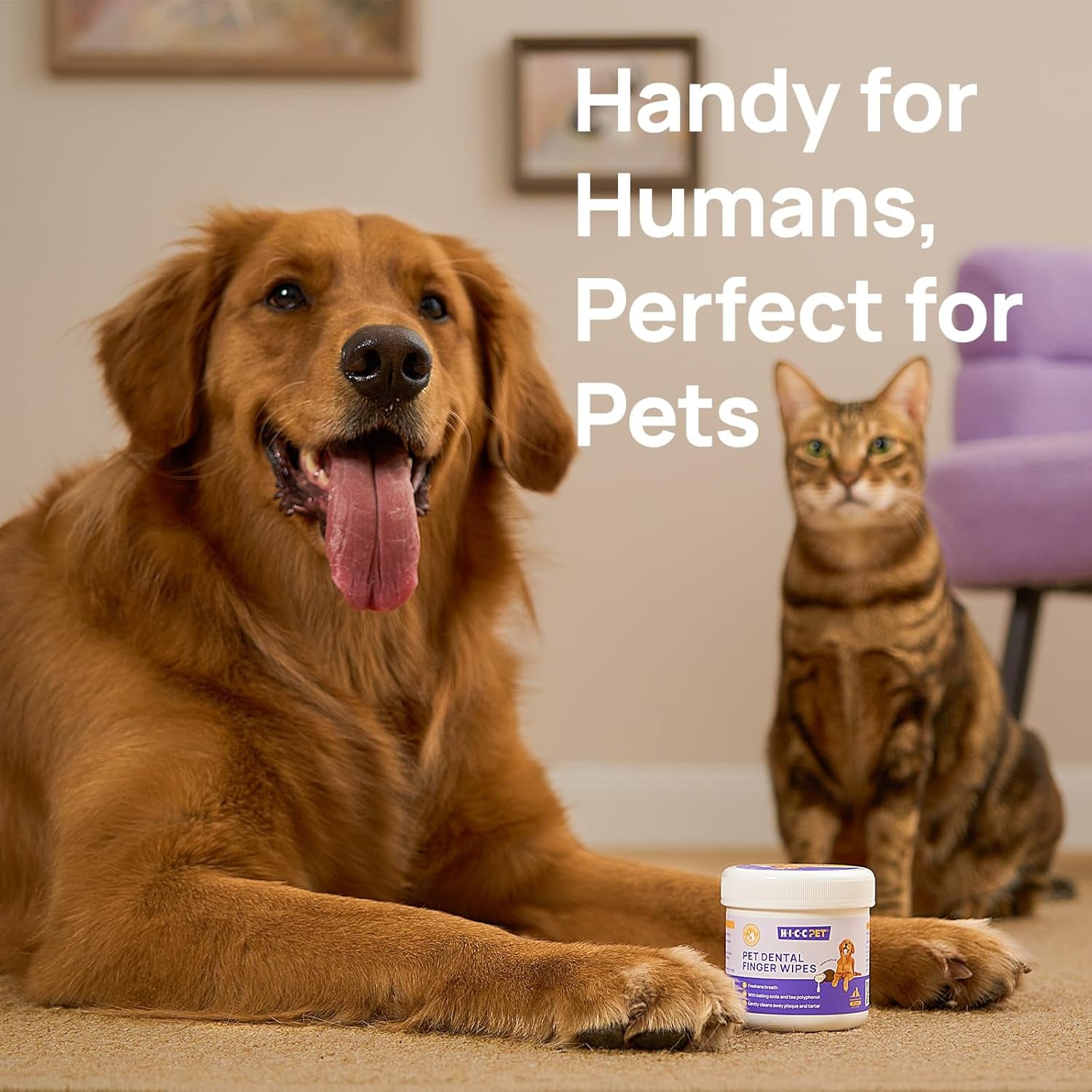 Teeth Cleaning Wipes for Dogs & Cats, Vet-Recommended Remove Bad Breath & Plaque & Tartar Buildup, Dog Tooth Brushing Kit, Dog Breath Freshener, Dogs Toothbrush & Toothpaste Alternatives