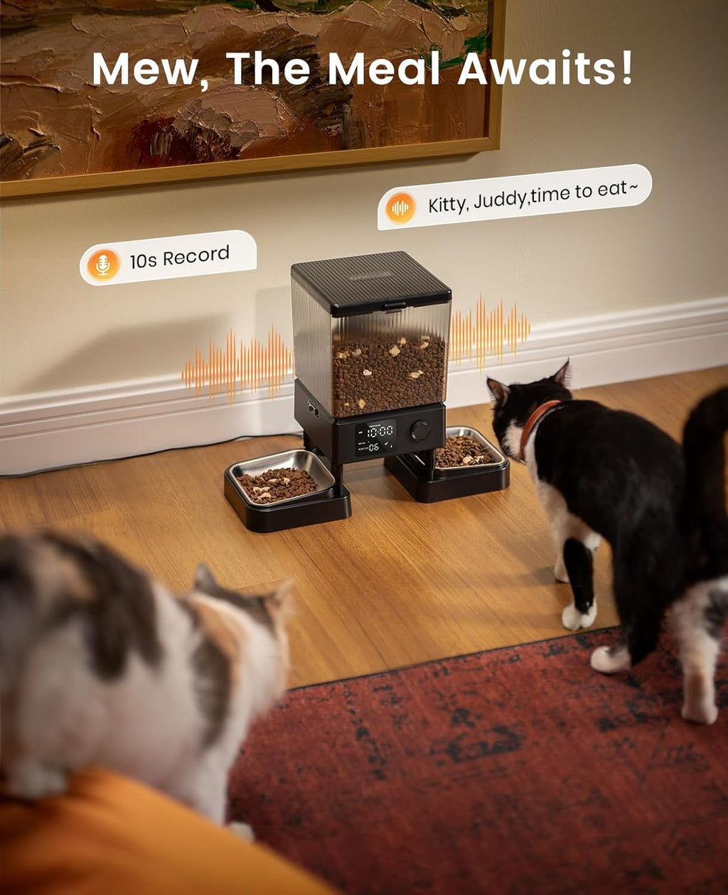 Automatic Cat Feeder for 2 Cats, 20 Cups/5L Automatic Cat Food Dispenser for Small Pets Indoor, Timed Cat Feeder for Dry Food