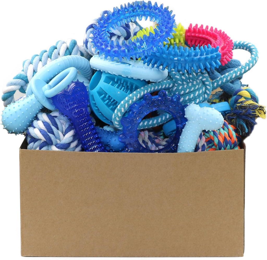 20 Pack Puppy Chew Toys - Blue Dog Teething Toys for Puppies, Puppy Teething Rings and Ropes, Rubber Toy Bundle for Small Dogs, Cute Interactive Dog Balls for Small Breed