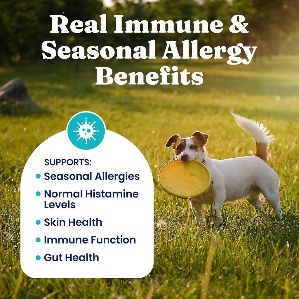 Dog Allergy Relief Chews - Dog Itching Skin Relief & Seasonal Allergies Support - Alaskan Salmon Oil for Dogs Skin, Coat & Immune Support - Bacon Flavor Soft Allergy Chews for Dogs -120Ct