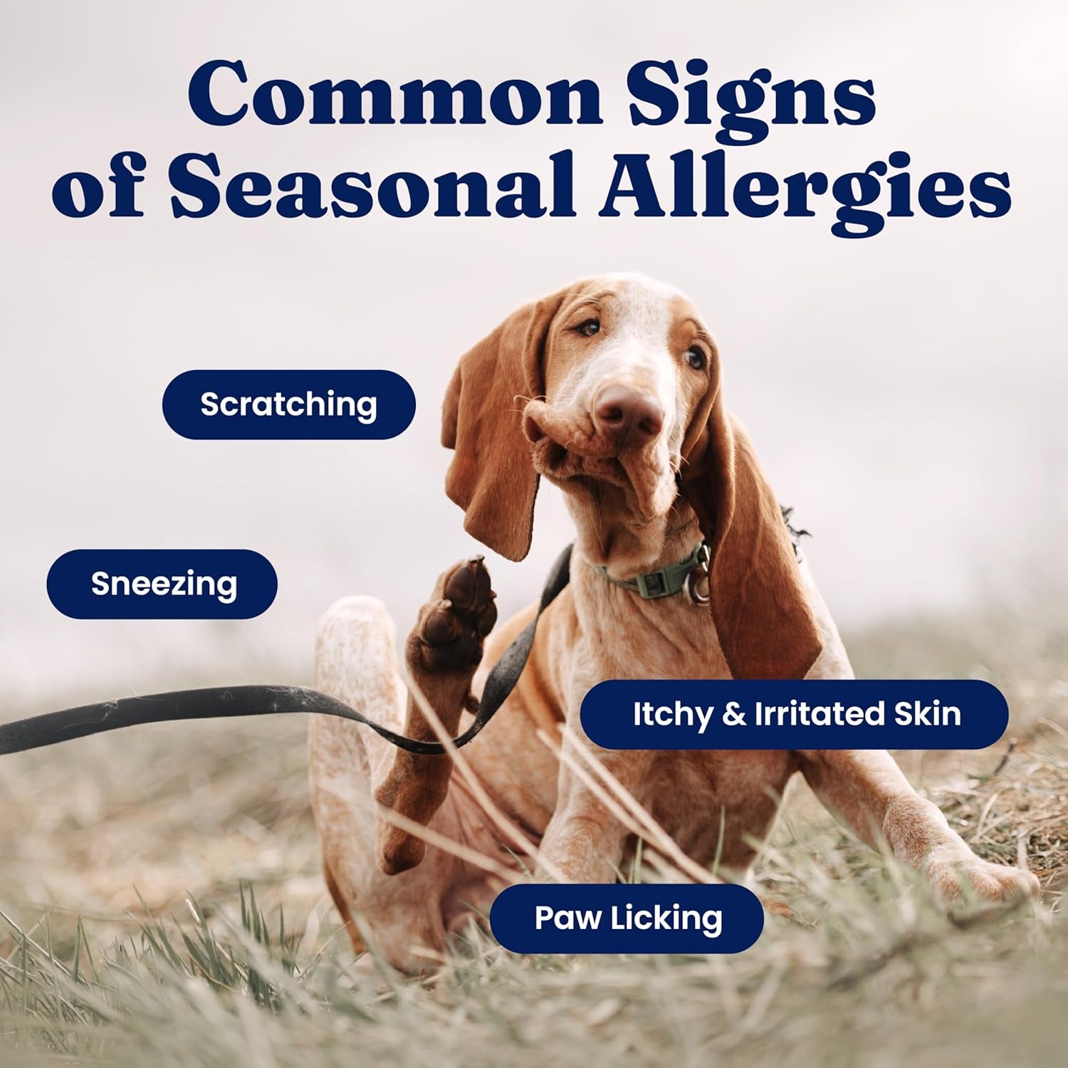 Dog Allergy Relief Chews - Dog Itching Skin Relief & Seasonal Allergies Support - Alaskan Salmon Oil for Dogs Skin, Coat & Immune Support - Bacon Flavor Soft Allergy Chews for Dogs -120Ct