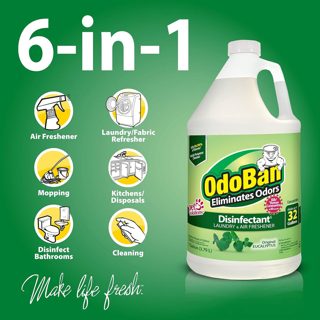 Disinfectant Concentrate and Odor Eliminator, Made in the USA, Original Eucalyptus Scent, 1 Gallon