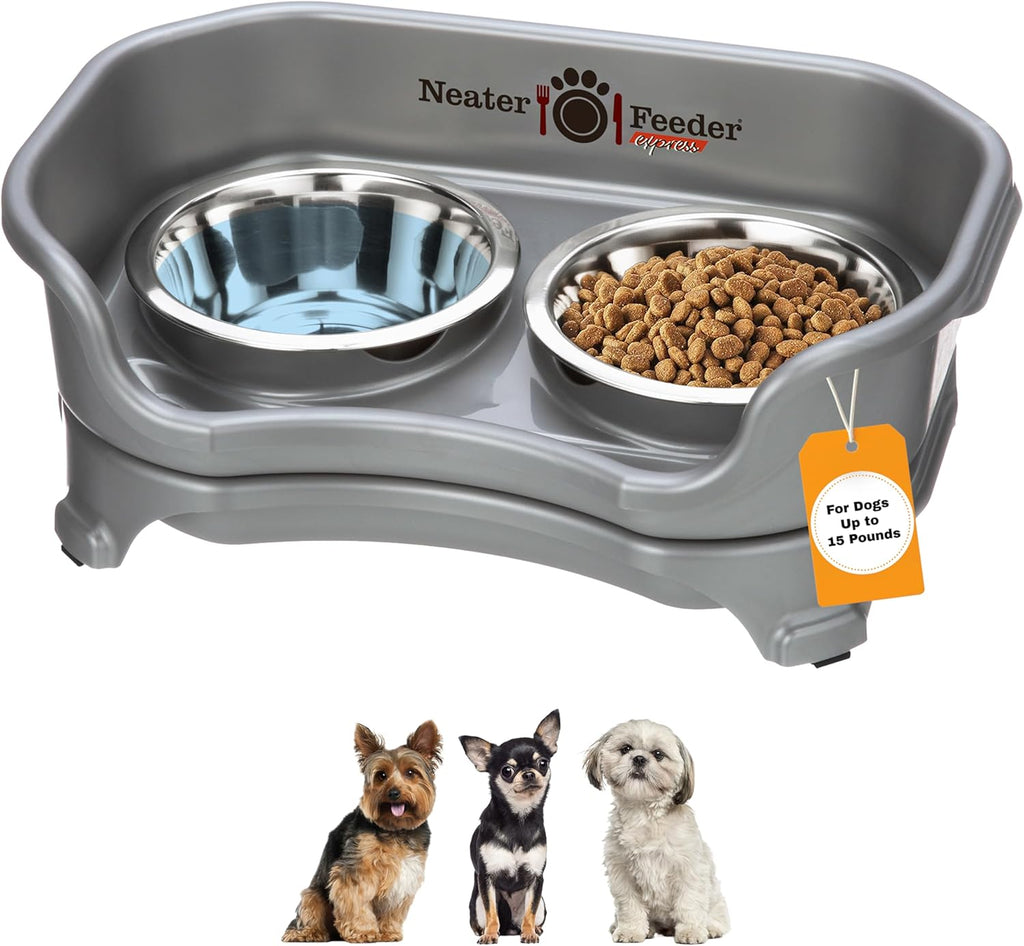 Express Mess Proof Dog Bowls Elevated for Small Breeds under 15 Lb, Made in USA, No Spill Raised Dog Food Bowl Stand, Stainless Steel Food and Water Bowl Set, Feeding Station, Grey