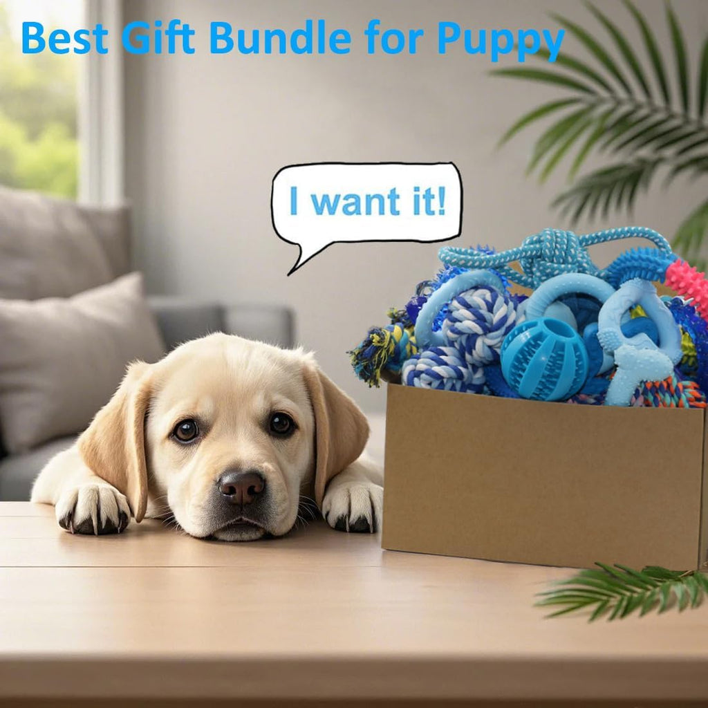 20 Pack Puppy Chew Toys - Blue Dog Teething Toys for Puppies, Puppy Teething Rings and Ropes, Rubber Toy Bundle for Small Dogs, Cute Interactive Dog Balls for Small Breed