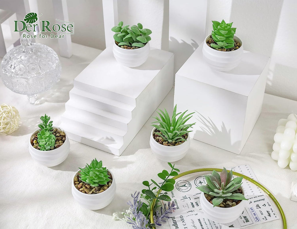 Set of 6 Succulents Plants Artificial in Pots Small Fake Plants Graduation Gifts for Bedroom Aesthetic Living Room Shelf Bathroom Decor Office Desk Accessories
