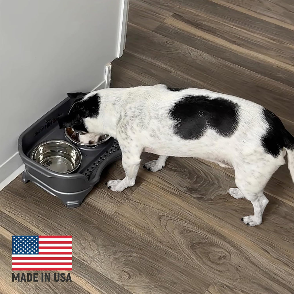 Express Mess Proof Dog Bowls Elevated for Small Breeds under 15 Lb, Made in USA, No Spill Raised Dog Food Bowl Stand, Stainless Steel Food and Water Bowl Set, Feeding Station, Grey