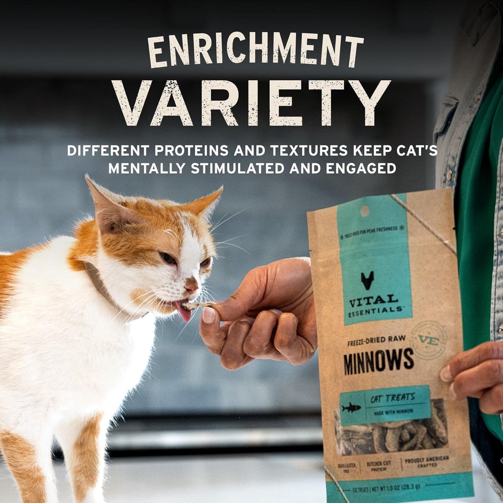 Freeze Dried Minnows Cat Treats | Single Ingredient | Premium Quality | Grain Free, Healthy Treats for Cats, 0.5 Oz Bag