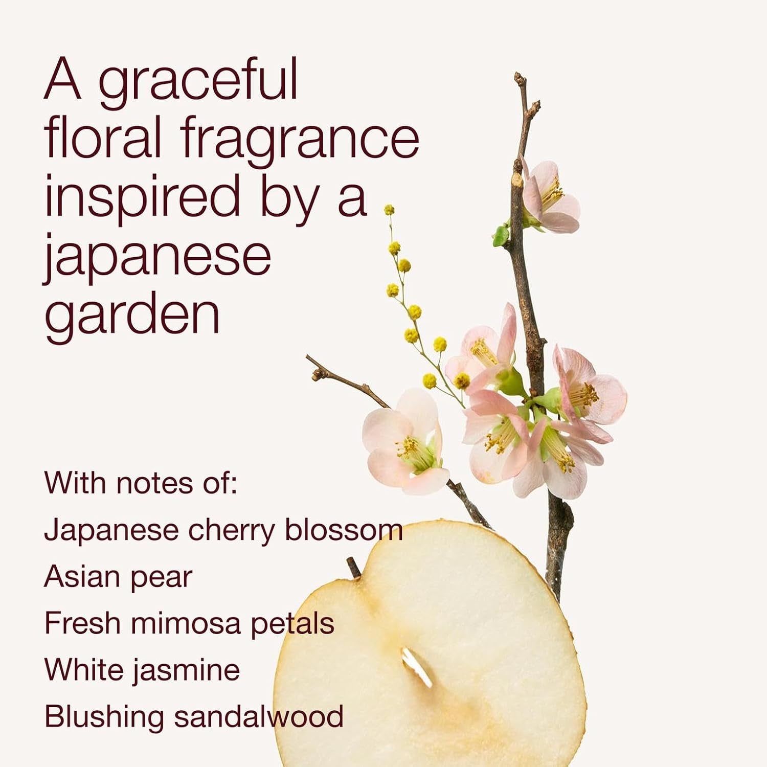 Japanese Cherry Blossom Body Lotion, Lightweight Daily Moisturizer with Shea Butter & Coconut Oil, Iconic Floral Scent, 8 Fl Oz - 2 Pack
