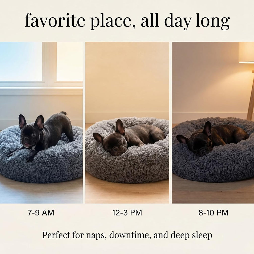 Small Calming Dogs Bed for Small Dogs Anti-Anxiety Machine Washable Fluffy Luxury Anti-Slip Waterproof Mute Base Warming Cozy Soft Pet Puppy round Bed