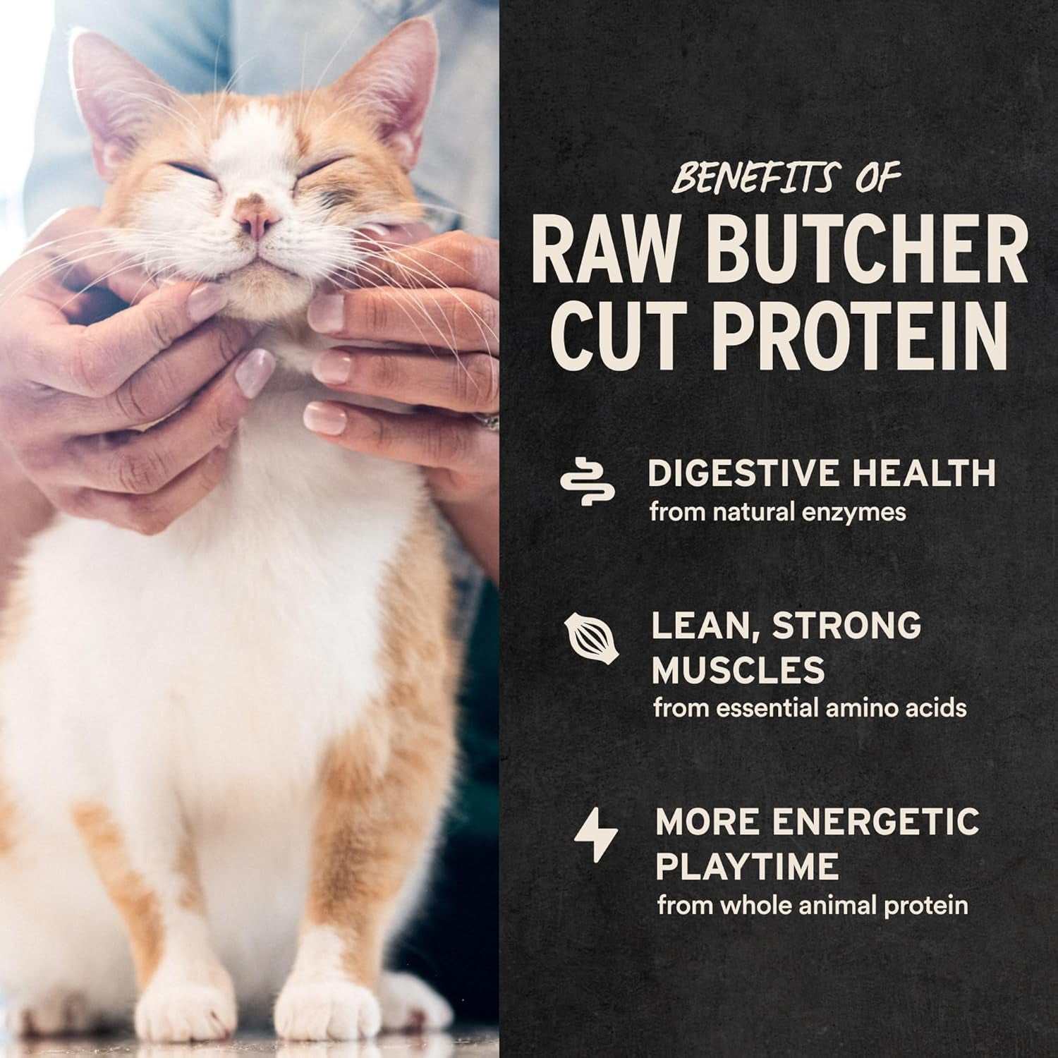 Freeze Dried Minnows Cat Treats | Single Ingredient | Premium Quality | Grain Free, Healthy Treats for Cats, 0.5 Oz Bag